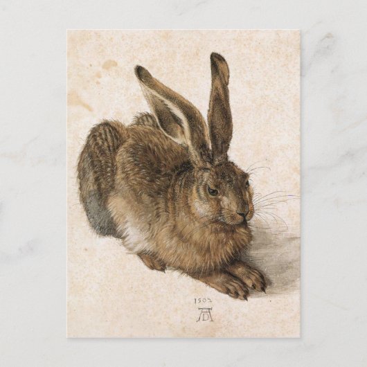 A Young Hare by Albrecht Durer Briefkaart (Voorkant)