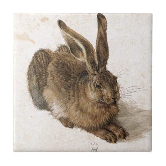 A Young Hare by Albrecht Durer Tegeltje (Voorkant)