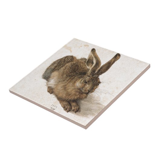 A Young Hare by Albrecht Durer Tegeltje (Zijkant)