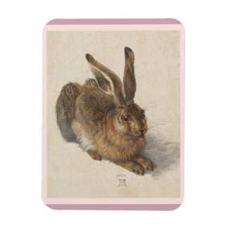 A Young Hare Magneet
