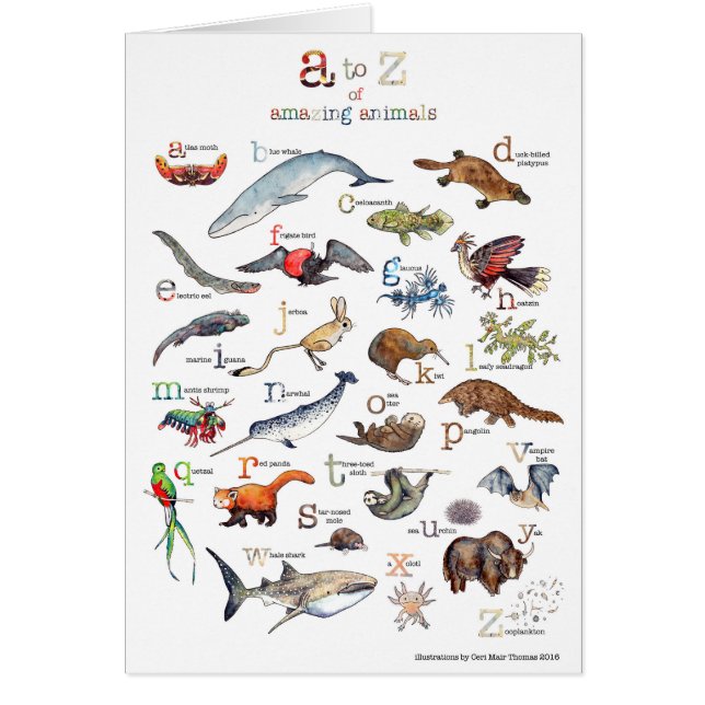A-Z van verbluffende dieren (Voorkant)