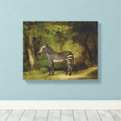 A Zebra, 1763 (olie op doek) Canvas Afdruk (Insitu (Houten vloer))