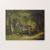 A Zebra, 1763 (olie op doek) Legpuzzel (Horizontaal)