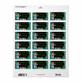 AA Boy Mad Scientist Party Adresetiketten Etiket (Full Sheet)