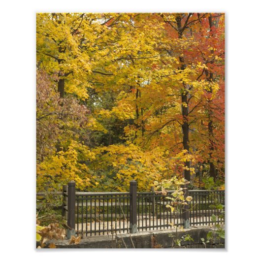 aaa foto afdruk (Voorkant)