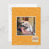 Aaaws Briefkaart (Voorkant / Achterkant)