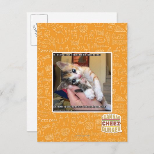 Aaaws Briefkaart (Voorkant / Achterkant)