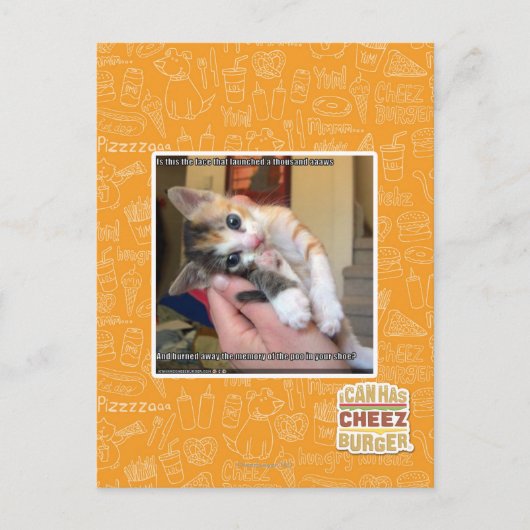 Aaaws Briefkaart (Voorkant)