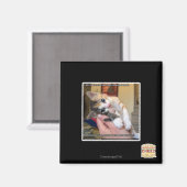 Aaaws Magneet (Voorkant / Achterkant)