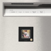 Aaaws Magneet (Insitu (Vaatwasser))