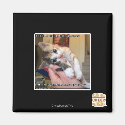 Aaaws Magneet (Voorkant)