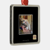 Aaaws Metalen Ornament (Rechts)