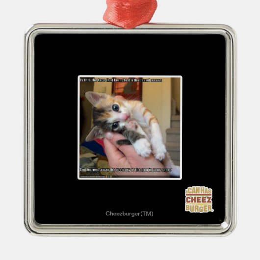 Aaaws Metalen Ornament (Voorkant)