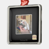 Aaaws Metalen Ornament (Links)