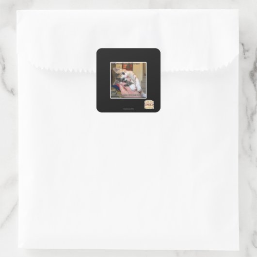 Aaaws Vierkante Sticker (Tas)