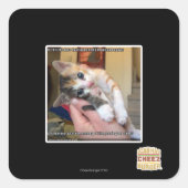 Aaaws Vierkante Sticker (Voorkant)