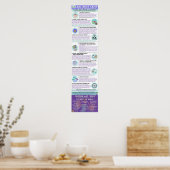 AAC Boot Camp Infographic Poster (Engels) (Keuken)