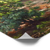 Aagaard Forest Stream Landscape Painting Poster (Hoek)