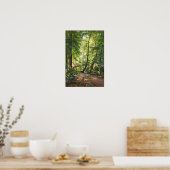 Aagaard Forest Stream Landscape Painting Poster (Keuken)