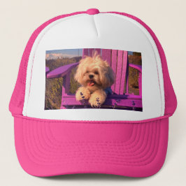 Aaiige knuffelige Shih Tzu-puppy, hond die zich on Trucker Pet