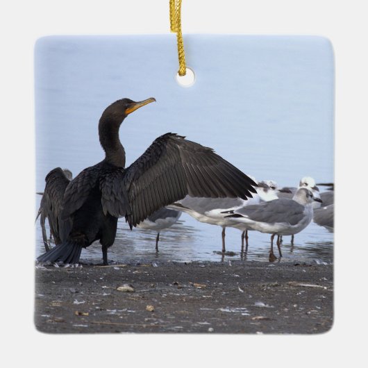 Aalscholver en meeuwen ornament (Voorkant)