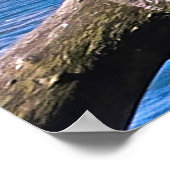 aalscholver in New Plymouth Poster (Hoek)