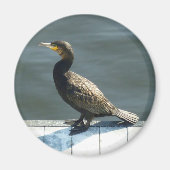 aalscholver magneet (Voorkant)