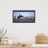 Aalscholver met meeuwen Poster (Keuken)