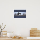 Aalscholver met meeuwen poster (Keuken)