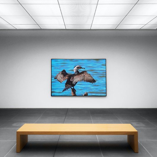 aalscholver met uitspreide vleugels op blauw-water canvas afdruk