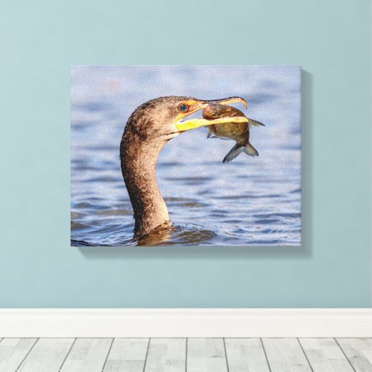 aalscholver met vis canvas afdruk (Insitu (Houten vloer))