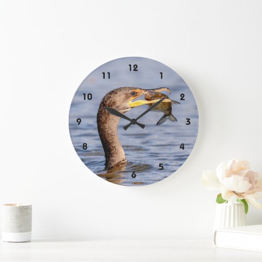 aalscholver met vis grote klok (Huis)