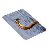 aalscholver met vis magneet (Rechterzijde)