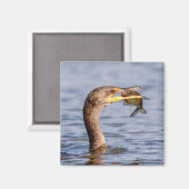 aalscholver met vis magneet (Voorkant / Achterkant)