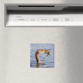 aalscholver met vis magneet (Insitu (Vaatwasser))