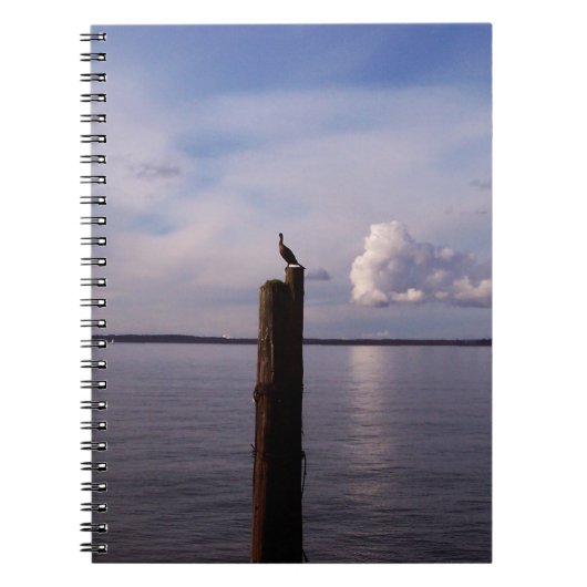 aalscholver notitieboek (Voorkant)