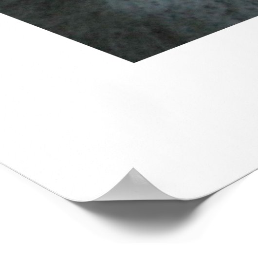 aalscholvers058 poster (Hoek)