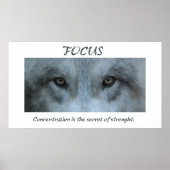 aalscholvers058 poster (Voorkant)