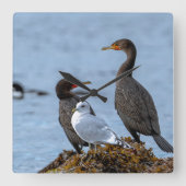 aalscholvers en zeemeeuw vierkante klok (Voorkant)