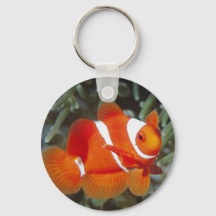 aalvis sleutelhanger