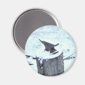 aambeeld magneet (Voorkant / Achterkant)
