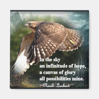 Aan de hemel magneet