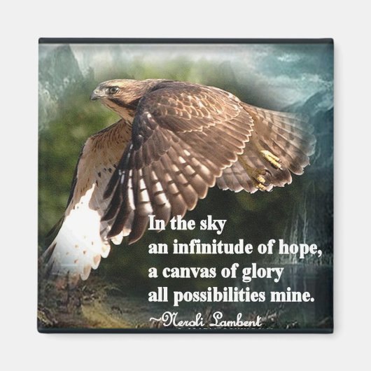 Aan de hemel magneet (Voorkant)