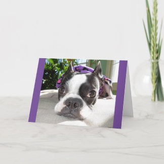 Aan de kleine kant Dutje… of TWEE! Lola B. Boston Kaart