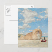 Aan de kust briefkaart (Voorkant / Achterkant)