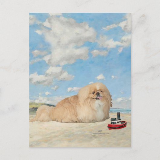 Aan de kust briefkaart (Voorkant)
