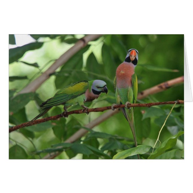 Aan de rand (Voorkant Horizontaal)