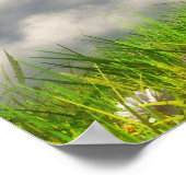 Aan de rand van de wereld (lente) poster (Hoek)