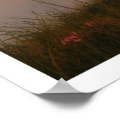 Aan de rand van de wereld poster (Hoek)