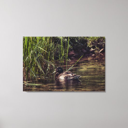 Aan de rand van Pond Canvas Afdruk (Voorkant)